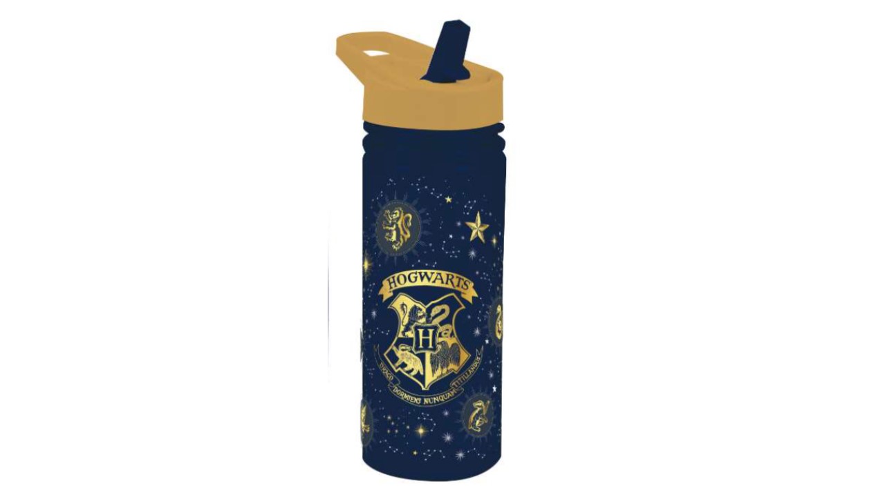 HARRY POTTER DRINKS BOTTLE 470ML (91437)